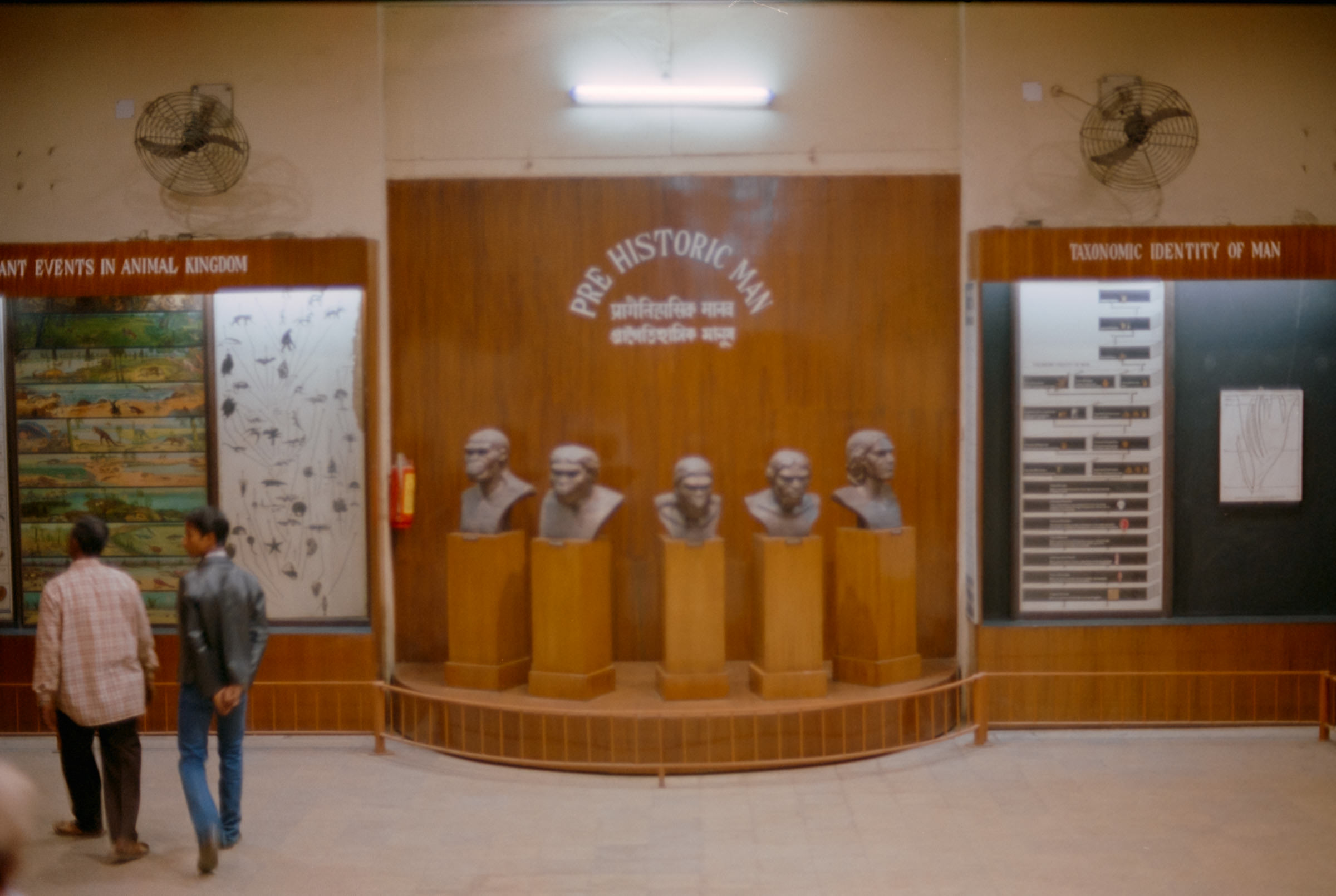 AHP film 2005 01 002 sc240825 img09 NLP